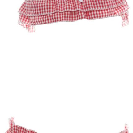Women's Cute Sexy Japanese JK Anime  Lingerie Set Sexy Ruffle Plaid Crop Top and Panty Red